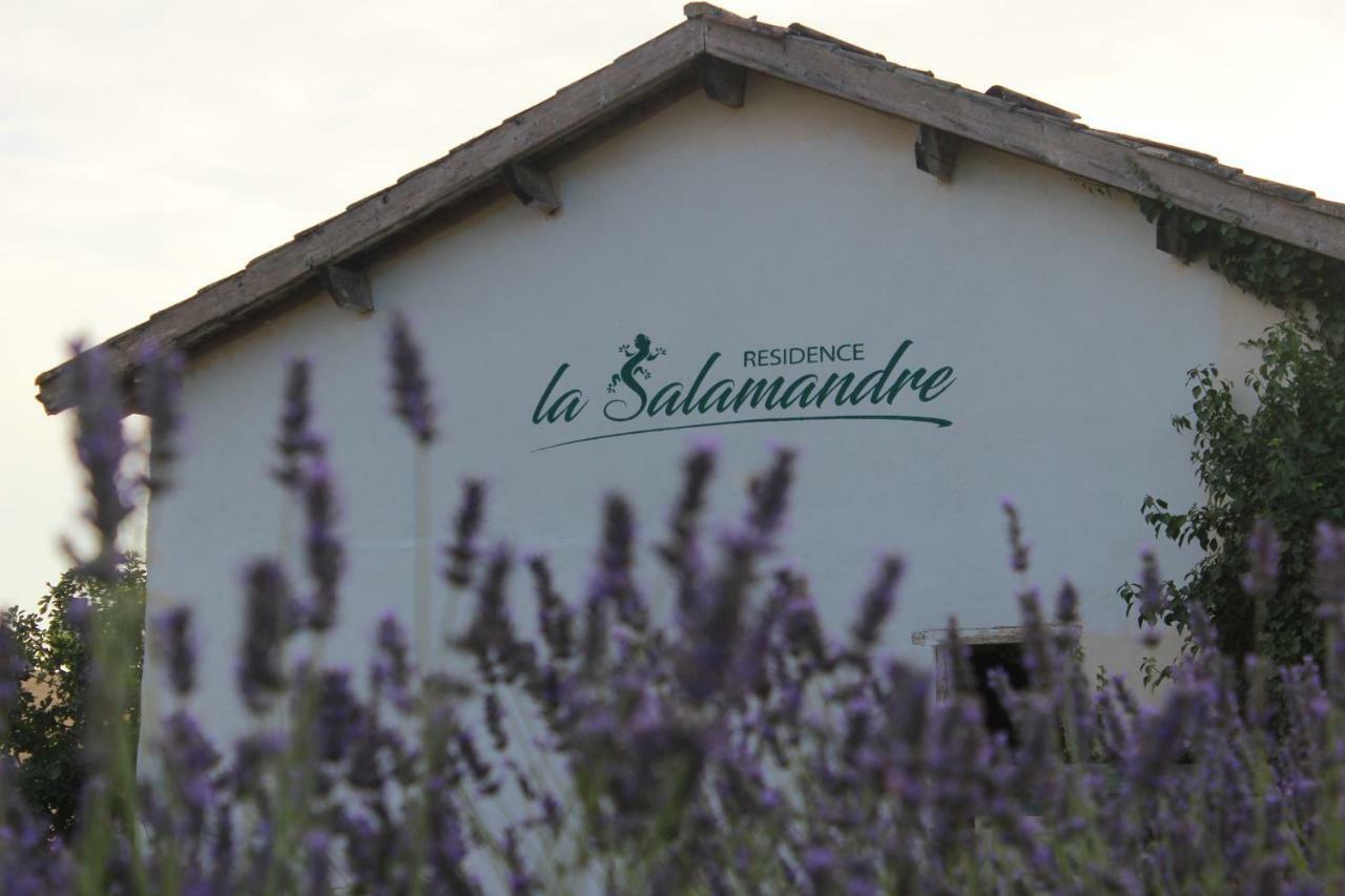 Residence La Salamandre Kamers Rabastens 외부 사진